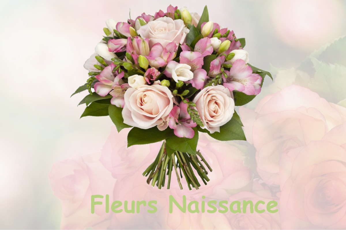 fleurs naissance MACORNAY